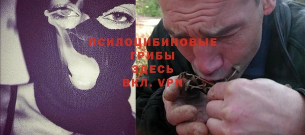 не бодяженный Горнозаводск
