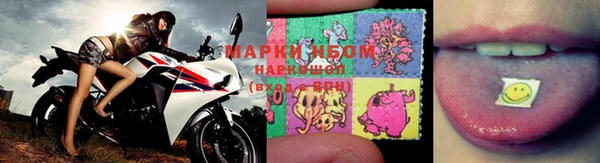стаф Горняк