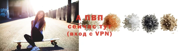 стаф Горняк
