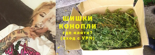 стаф Горняк