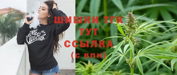 стаф Горняк