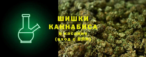 стаф Горняк